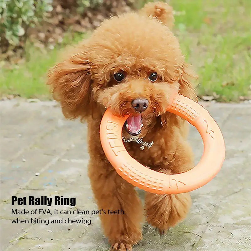 EVA Pet Toy - Tug Ring & Frisbee for Dogs, Training Disc for Improved Agility and Obedience