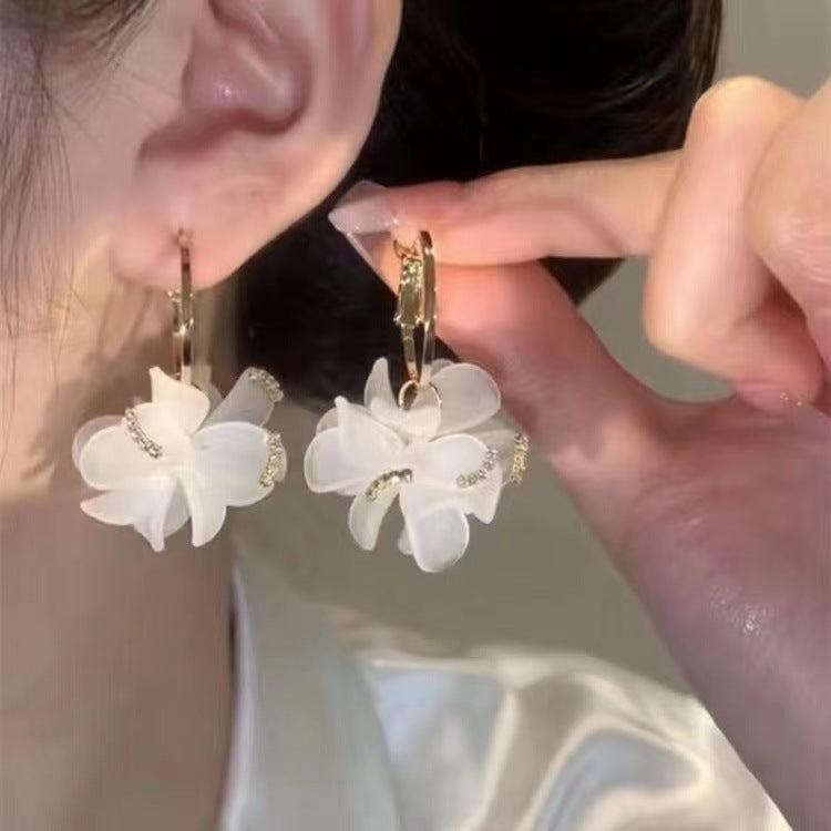 Fashionable tassel earrings for women, long earrings, internet celebrity earrings, face-slimming earrings